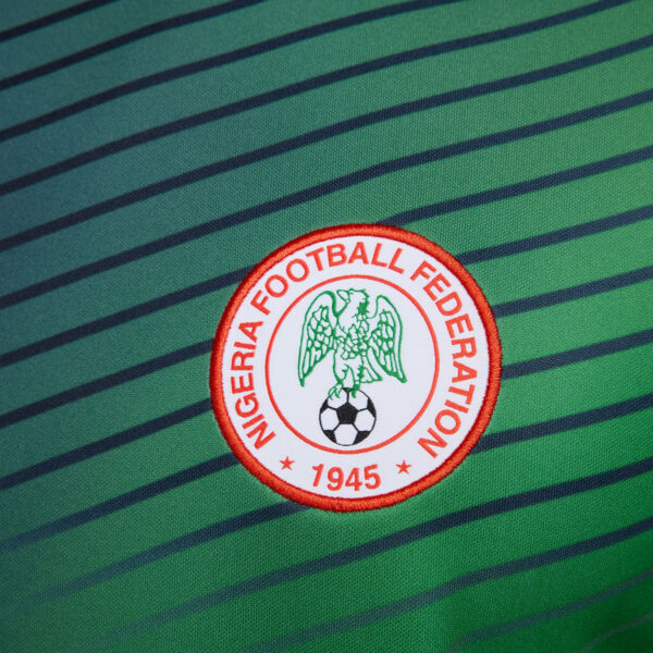 Men's Nike  Gray Nigeria National Team 2024 Academy Pro Pre-Match Top - Image 10