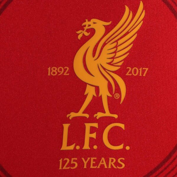 Youth New Balance Red Liverpool 2017/18 Elite Training Pre-Match Jersey - Image 5