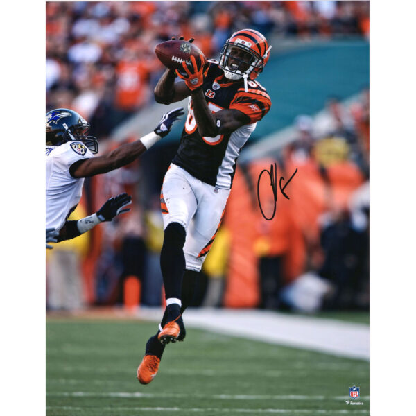 Chad Johnson Cincinnati Bengals Autographed 16" x 20" Black Jersey Making Catch Photograph