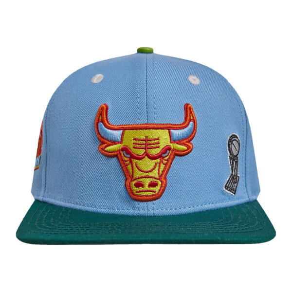 Men's Pro Standard Light Blue/Green Chicago Bulls Retro Program 2-Tone Snapback Hat - Image 10