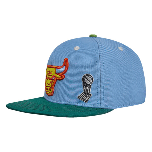 Men's Pro Standard Light Blue/Green Chicago Bulls Retro Program 2-Tone Snapback Hat - Image 11