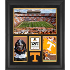 Tennessee Volunteers Neyland Stadium Framed 20'' x 24'' 3-Opening Collage