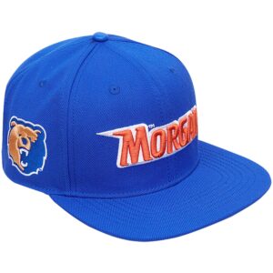 Men's Pro Standard  Royal Morgan State Bears Evergreen Morgan Snapback Hat