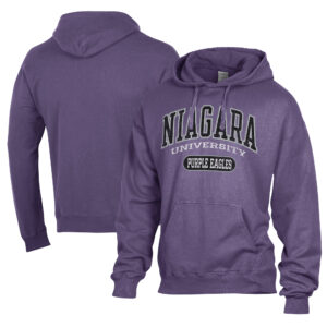 Men's Comfort Wash  Purple Niagara Purple Eagles Lightweight Fleece Pullover Hoodie