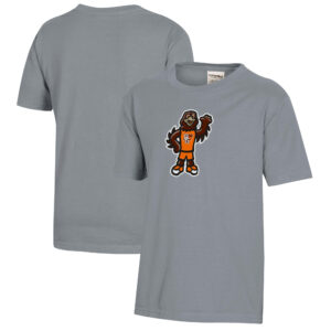Youth  Gray Bowling Green St. Falcons Logo Comfort Wash T-Shirt