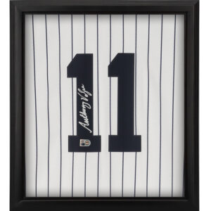 Anthony Volpe New York Yankees Autographed Framed White Nike Replica Jersey Shadowbox