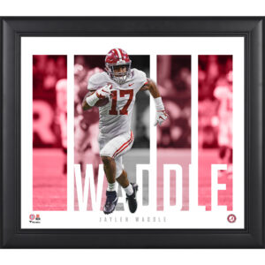 Jaylen Waddle Alabama Crimson Tide Framed 15" x 17" Player Panel Collage