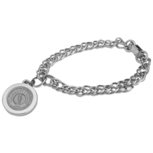 Women's Silver Albany Great Danes Charm Bracelet