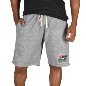 Men's Concepts Sport Gray FC Dallas Mainstream Tri-Blend Shorts