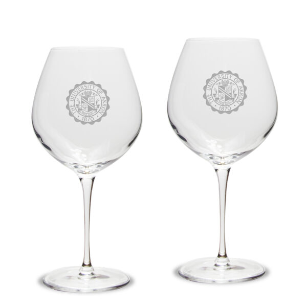 Akron Zips 22oz. 2-Piece Luigi Bormioli Titanium Robusto Wine Glass Set