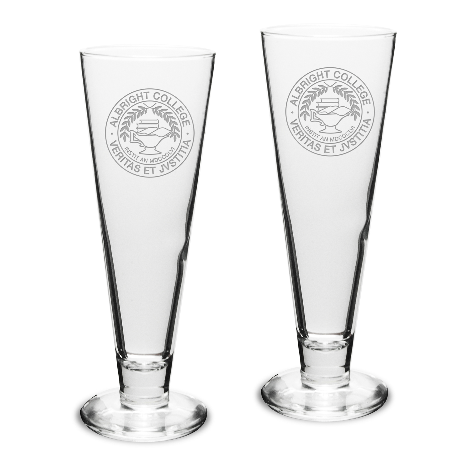 Albright Lions 16oz. 2-Piece Classic Beer Pilsner Set