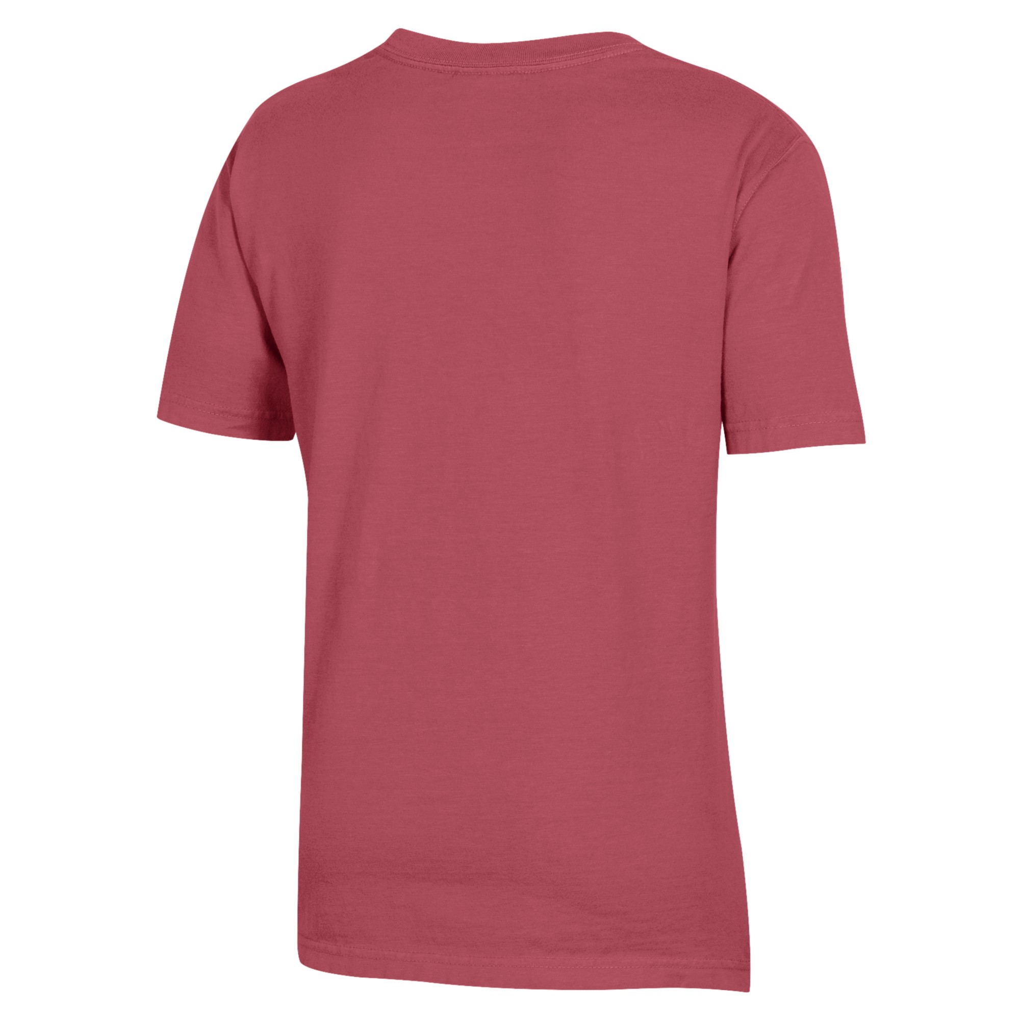 Youth Crimson Tampa Spartans Logo Comfort Wash T-Shirt - Image 11