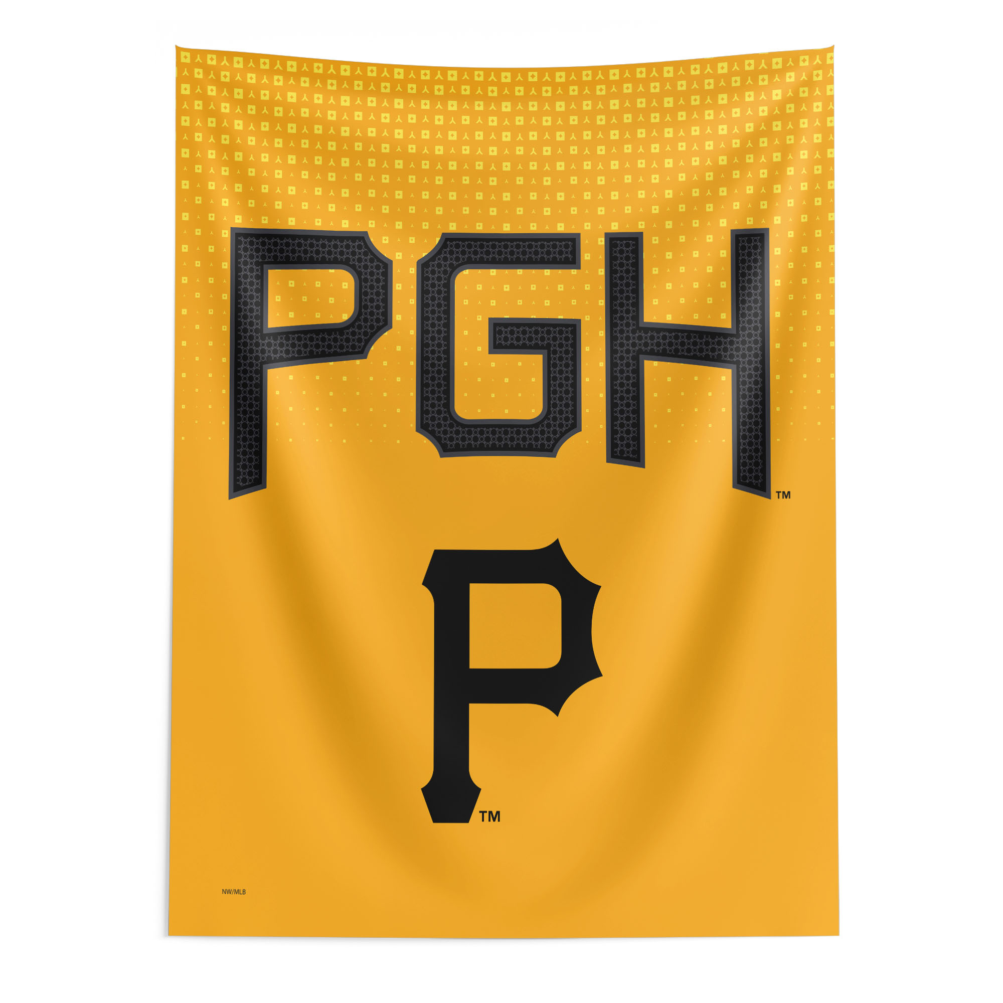 The Northwest Group Pittsburgh Pirates 50" x 60" City Connect Wall Art