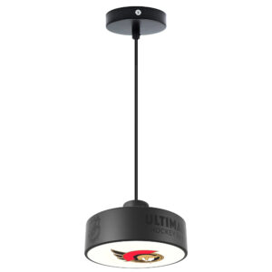 Ottawa Senators Primary Logo Team Pendant Hockey Light