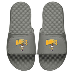Youth ISlide X BreakingT Najee Harris Gray NFLPA Caricature Slide Sandals