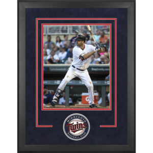 Minnesota Twins Deluxe 16" x 20" Vertical Photograph Frame