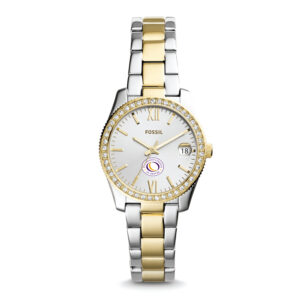 Women's Fossil Silver CCD CityHawks Scarlette Mini Two-Tone Stainless Steel Watch