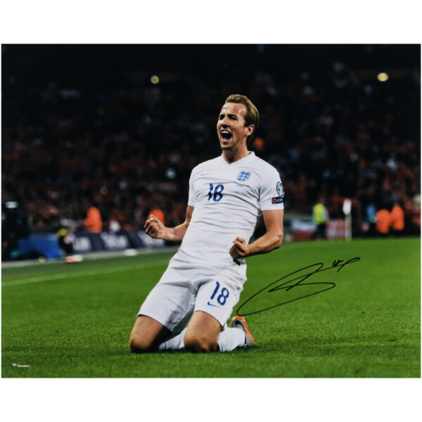 Harry Kane England National Team Autographed 16" x 20" Goal Celebration Photograph