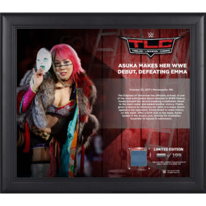 Asuka Framed 15" x 17" 2017 TLC Collage with a Piece of Match-Used Canvas - Limited Edition of 199