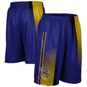 Men's Purple San Francisco State Gators Pocketed Shorts