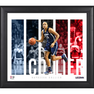 Napheesa Collier UConn Huskies Framed 15" x 17" Player Panel Collage