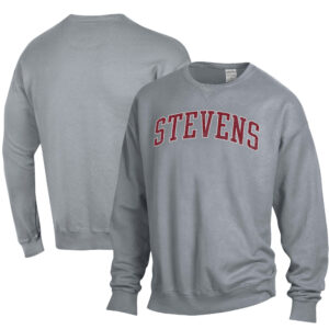 Men's ComfortWash Gray Stevens Institute of Technology Ducks Garment Dyed Pullover Sweatshirt