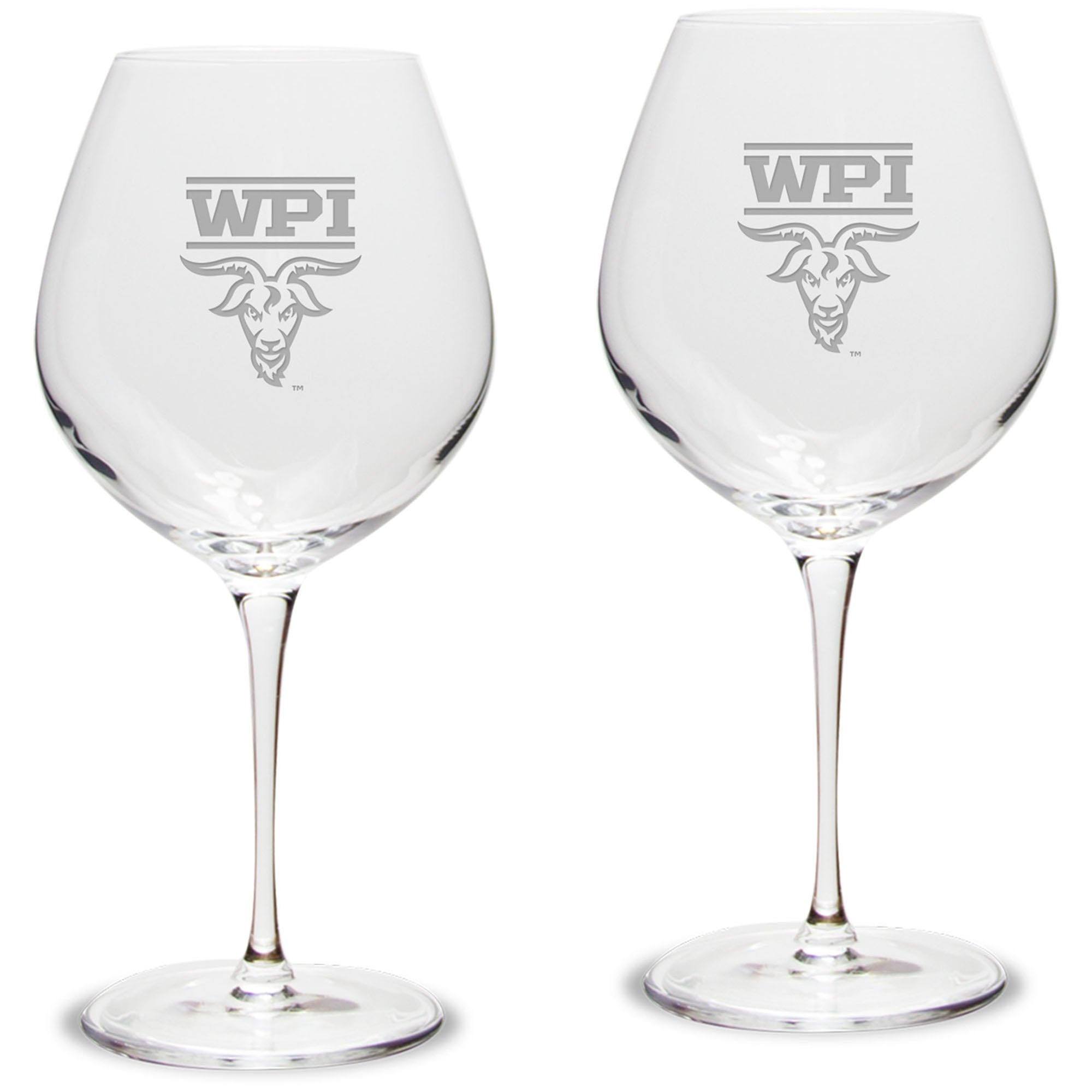 Worcester Polytechnic Institute Engineers 22oz. 2-Piece Luigi Bormioli Titanium Robusto Wine Glass Set