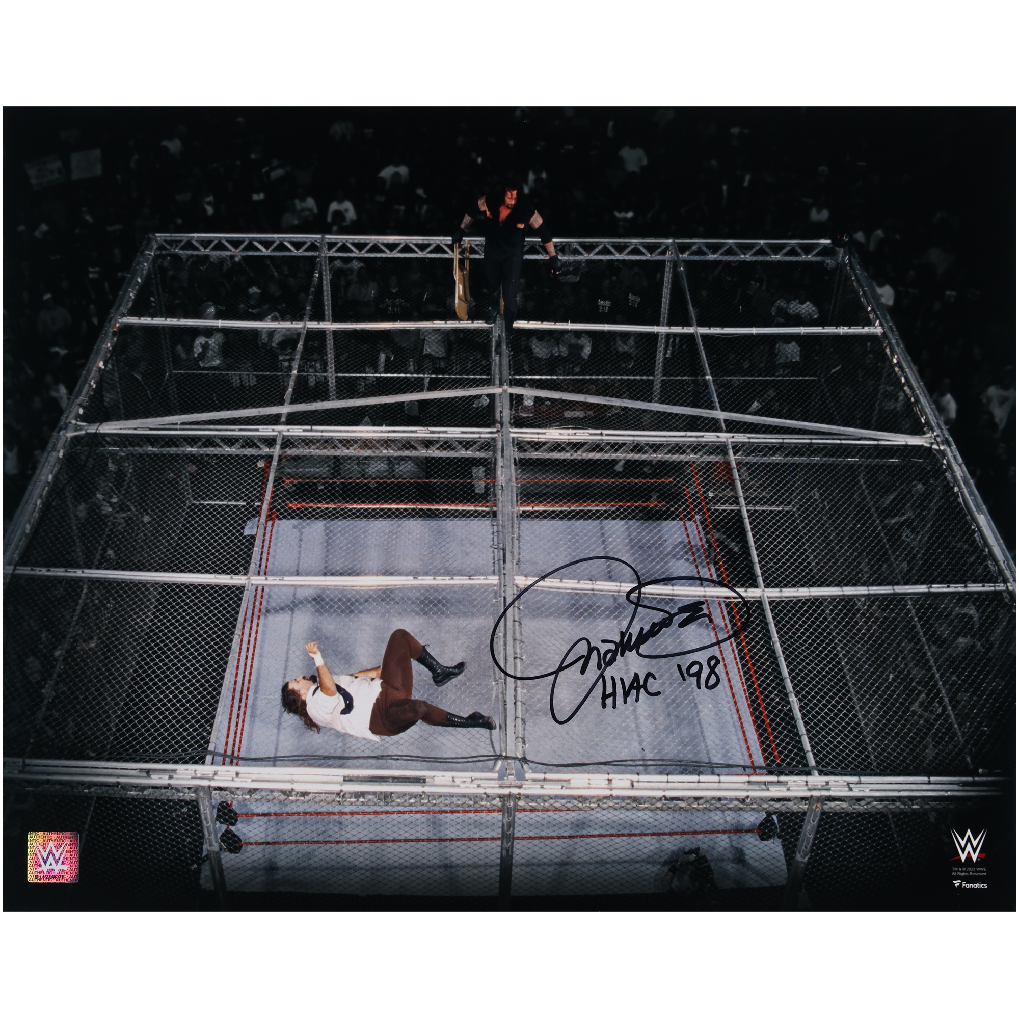 Mick Foley WWE Autographed 16" x 20" Hell In A Cell Photograph with "HIAC '98" Inscription