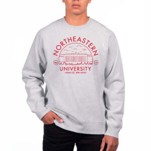 Men's Uscape Apparel Gray Northeastern Huskies Premium Heavyweight Crew Neck Sweatshirt
