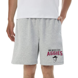 Men's Concepts Sport Gray New Mexico State Aggies Baritone Fleece Shorts