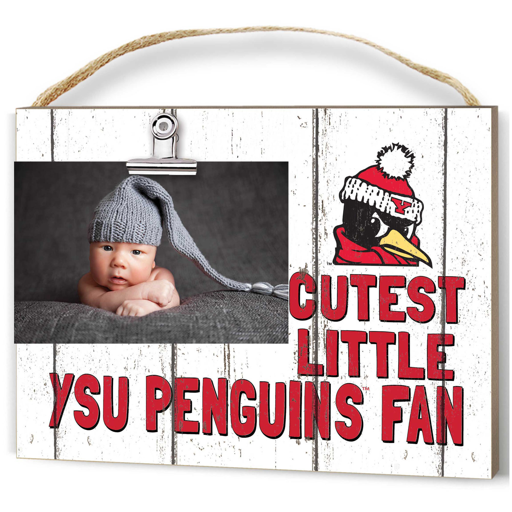Youngstown State Penguins 16" x 22" Cutest Little Weathered Logo Frame