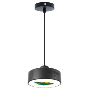 Minnesota Wild Primary Logo Team Pendant Hockey Light