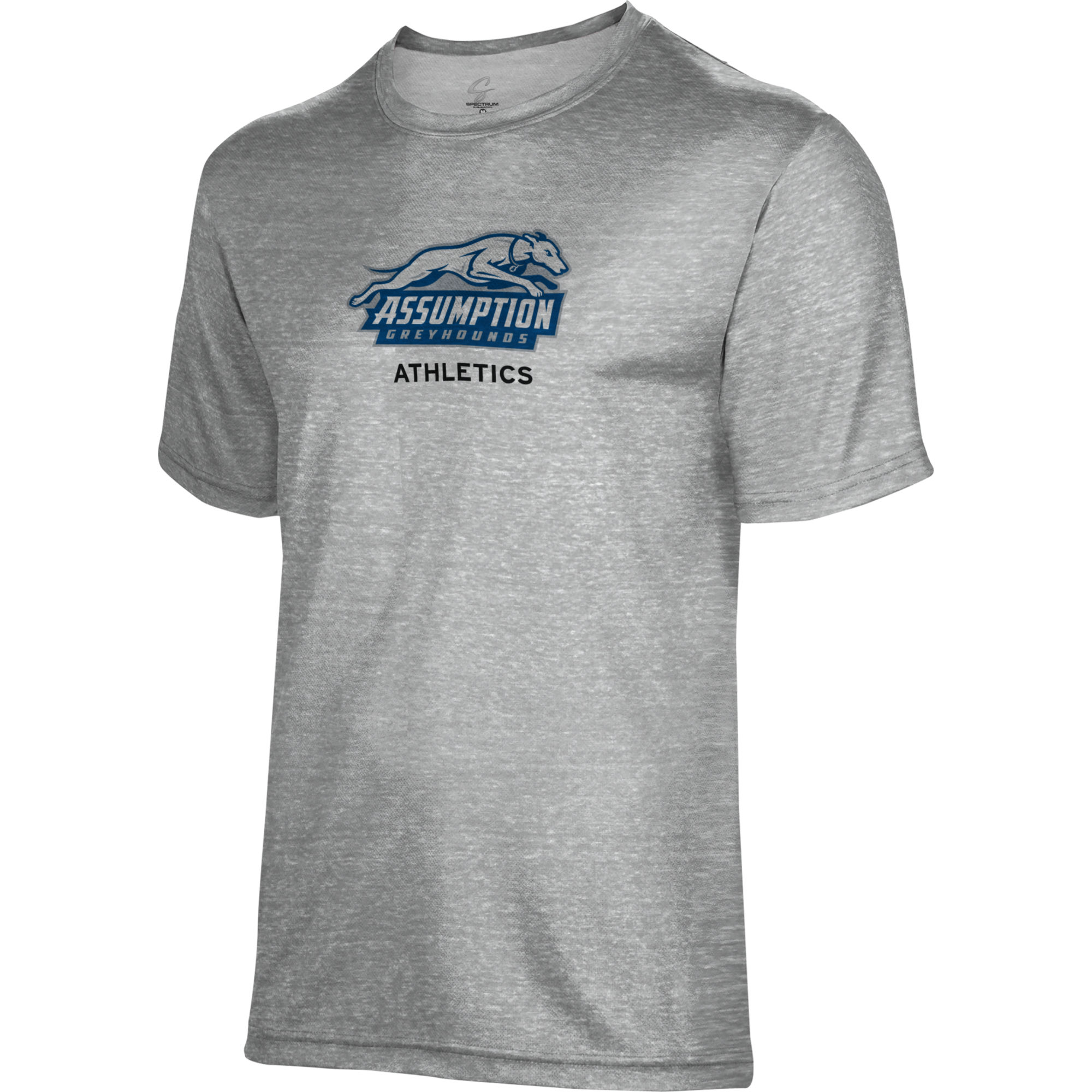 Youth ProSphere Gray Assumption Greyhounds Athletics T-Shirt - Image 6