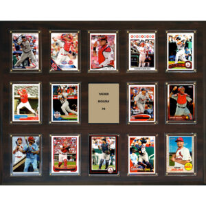 Yadier Molina St. Louis Cardinals 16'' x 20'' Plaque