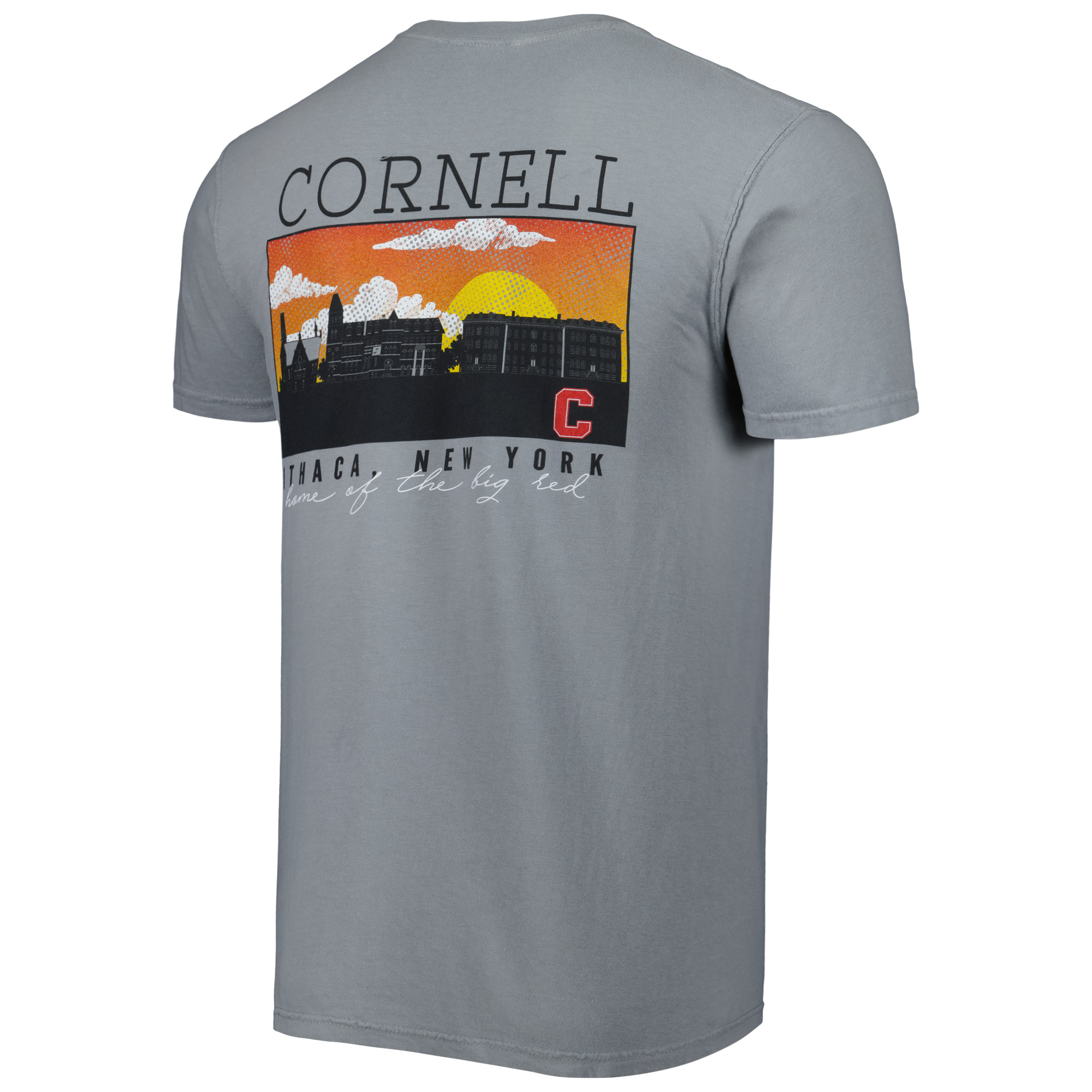 Men's Gray Cornell Big Red Campus Scenery Comfort Color T-Shirt - Image 7