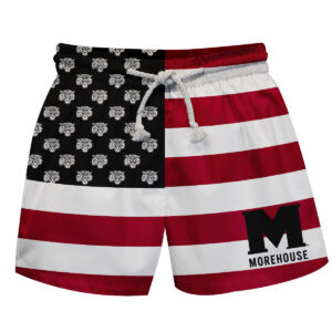 Toddler Vive La Fete  Maroon/Black Morehouse Maroon Tigers Flag Swim Trunks