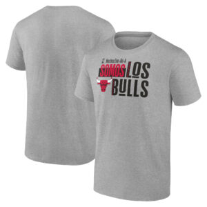 Men's  Heather Gray Chicago Bulls Noches Ene-Be-A Training T-Shirt