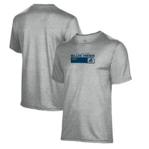 Youth ProSphere  Gray Delaware Fightin' Blue Hens Golf T-Shirt