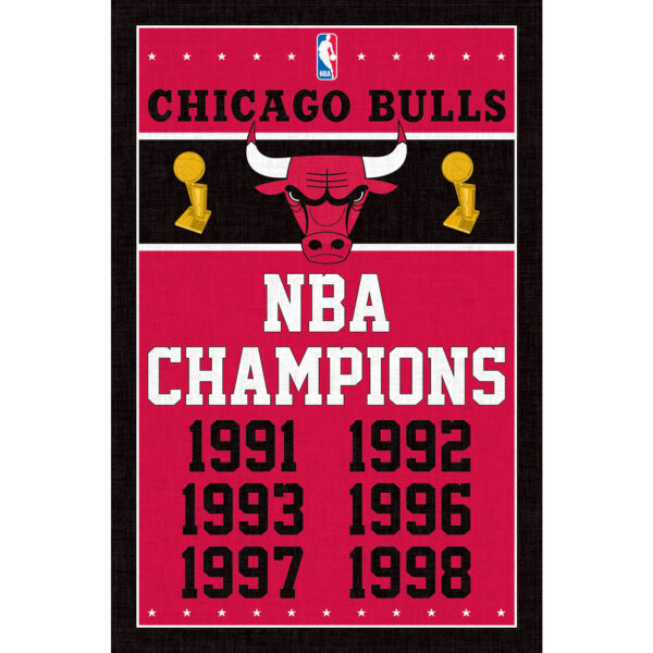 Chicago Bulls NBA Finals Champions 24.25'' x 35.75'' Framed Poster