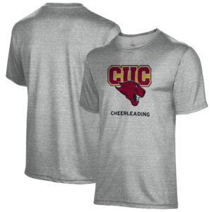 Men's Gray Concordia University (IL) Cougars Cheerleading Name Drop T-Shirt