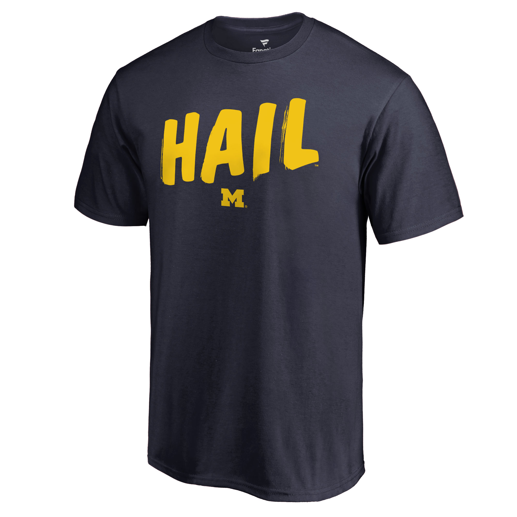 Men's Navy Michigan Wolverines Hometown Collection Hail T-Shirt