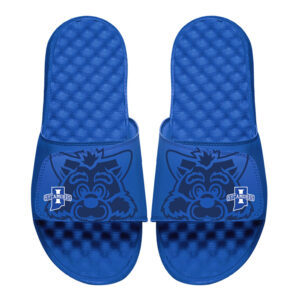 Men's ISlide  Royal Indiana State Sycamores Tonal Pop Slide Sandals