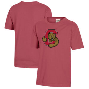 Youth  Red Cornell Big Red Logo Comfort Wash T-Shirt