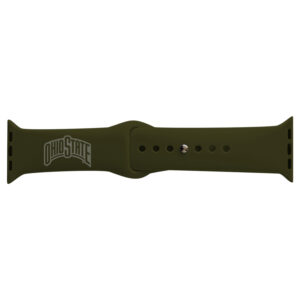 Green Ohio State Buckeyes 38-40mm Color Apple Watch Wrist Band