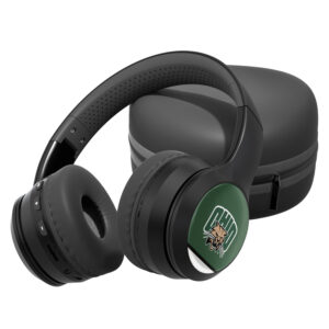 Ohio Bobcats Stripe Design Wireless Bluetooth Headphones With Case