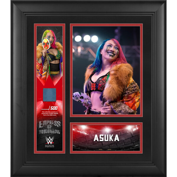 Asuka Framed 15" x 17" Collage with a Piece of Match-Used Canvas - Limited Edition of 500