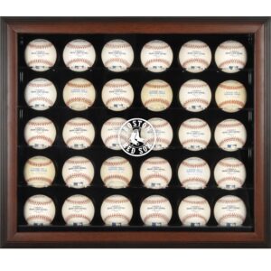 Boston Red Sox Logo Brown Framed 30-Ball Display Case
