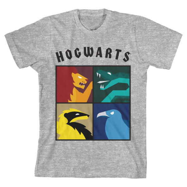 Youth Heather Gray Harry Potter T-Shirt