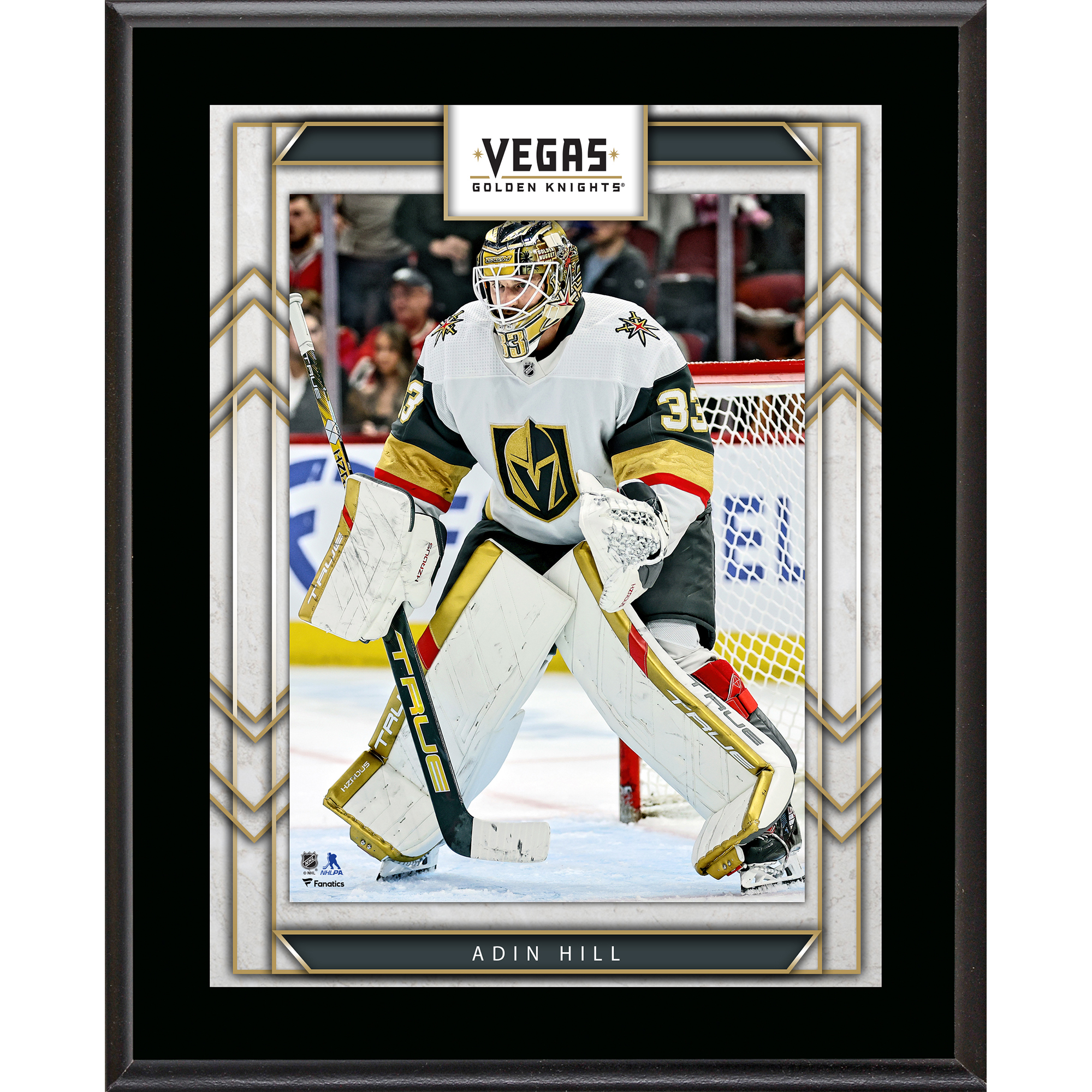 Adin Hill Vegas Golden Knights 10.5" x 13" Sublimated Player Plaque