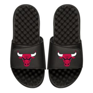 Men's Black Chicago Bulls Primary iSlide Sandals